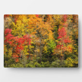 De herfst van Sims Pond North Carolina, Blue Ridge Fotoplaat (voorkant)