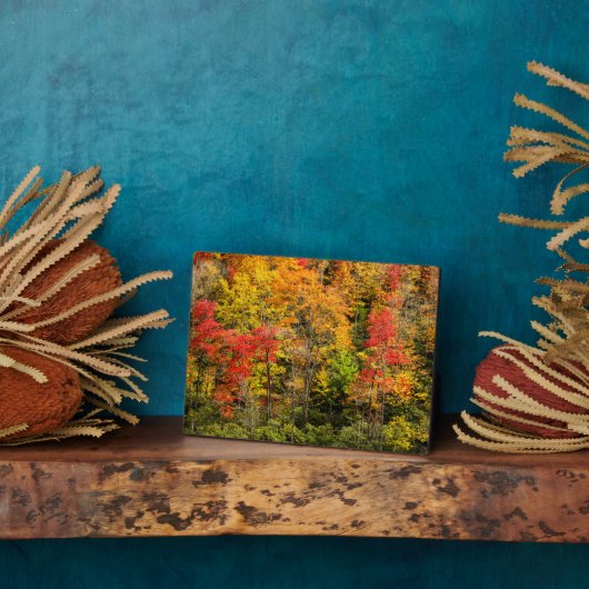 De herfst van Sims Pond North Carolina, Blue Ridge Fotoplaat (Zijkant)