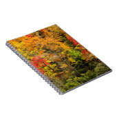 De herfst van Sims Pond North Carolina, Blue Ridge Notitieboek (Rechterzijde)