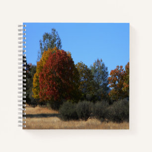 De herfstdag in het land..... notitieboek