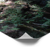 De Herfsten van Bushkill in de Poconos. druk 0206 Poster (Hoek)