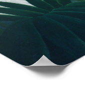 De heropleving van het Leeuwenwoud Groen Poster (Hoek)