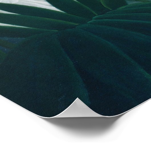 De heropleving van het Leeuwenwoud Groen Poster (Hoek)