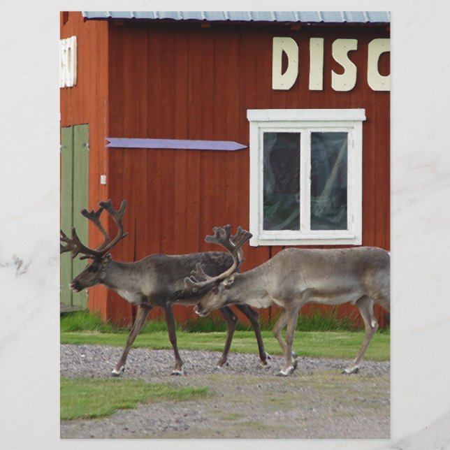 DE HERTEN VAN DE DISCO (Voorkant)