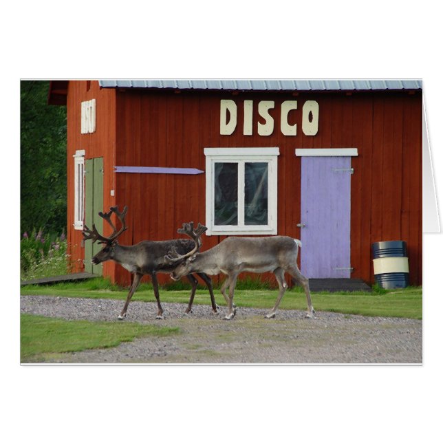 DE HERTEN VAN DE DISCO (Voorkant Horizontaal)