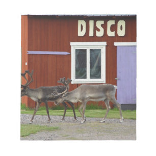 DE HERTEN VAN DE DISCO NOTITIEBLOK