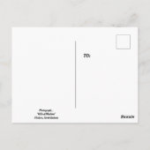 De heuvels van Medora Briefkaart (Achterkant)