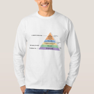 De hiërarchie van de politiek t-shirt