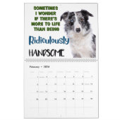 De hilarische gedachten van mijn Australische herd Kalender (Feb 2026)