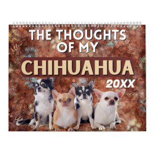 De hilarische gedachten van mijn Chihuahua Kalender