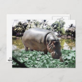 De hippo en de vogel briefkaart (Voorkant / Achterkant)
