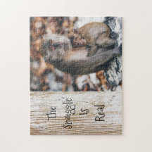 De hoek is een echte hugging van de moederaapjes