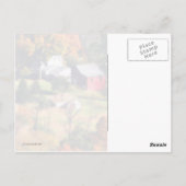 De Homestead Briefkaart (Achterkant)