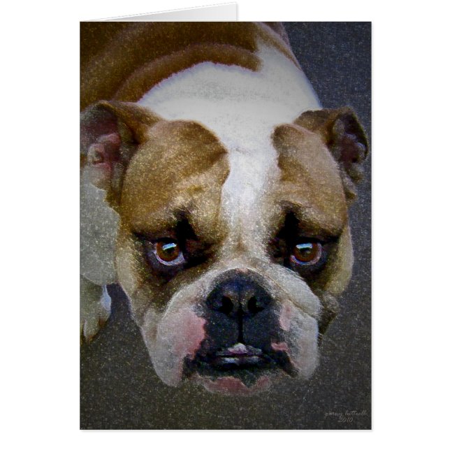 De hond (Voorkant)