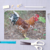 De hond (behalve een kip) tissuepapier (Craft)