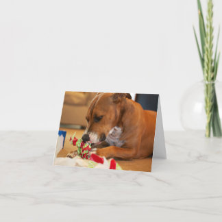 De hond dankt u kaardt bedankkaart