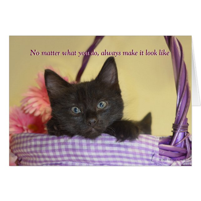 De hond deed het (Voorkant Horizontaal)