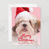 De Hond die van Apso van Lhasa het Pet van de Feestdagenkaart (Voorkant / Achterkant)