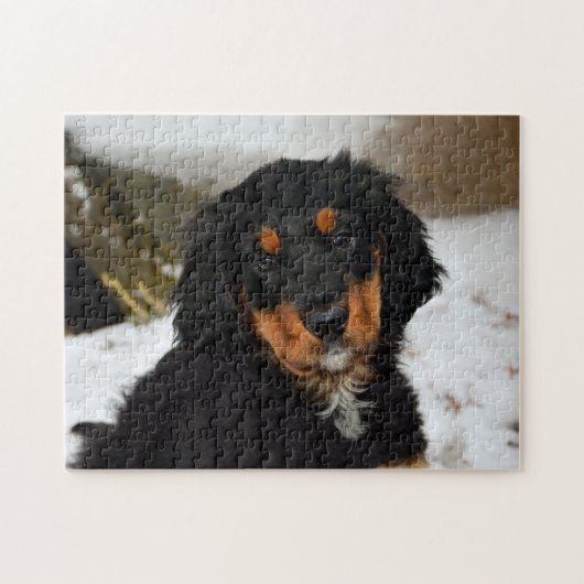 De hond legpuzzel (Horizontaal)