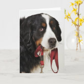 De Hond van de Berg van Bernese (Berner Kaart (Gele Bloem)