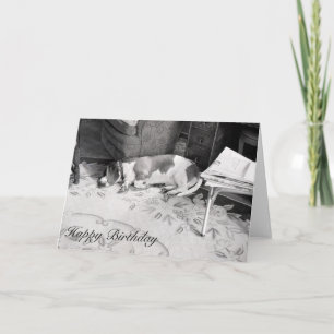 De Hond van de hond Kaart