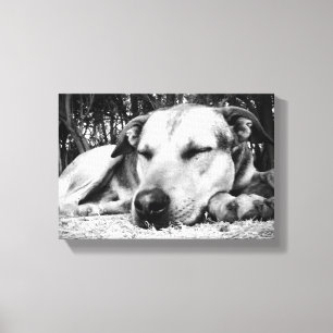 De Hond van de slaap Canvas Afdruk