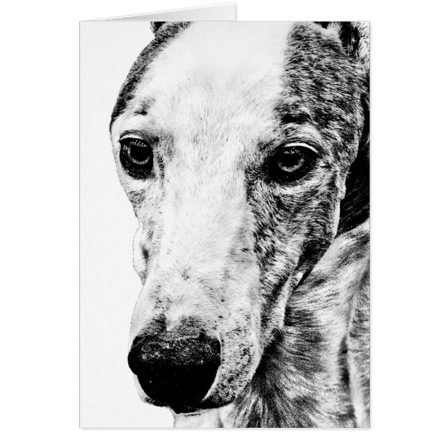 De hond van de whippet (Voorkant)