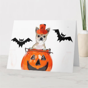De hond van Halloween Chihuahua Kaart