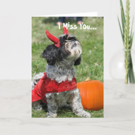 De hond van Halloween Shih Tzu Kaart