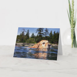 De Hond van het water - Kaarten