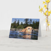 De Hond van het water - Kaarten (Gele Bloem)