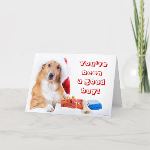 De hond van Kerstmis met geweitak en kleurrijke Feestdagen Kaart