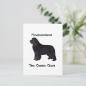 De Hond van Newfoundland de Zachte Reus Briefkaart (Staand voorkant)