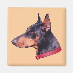De Hond van Pinscher van Doberman Magneet