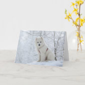De hond van Samoyed Kaart (Gele Bloem)