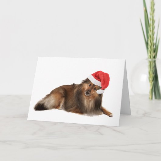 De hond van Sheltie van Kerstmis Feestdagen Kaart (Voorkant)