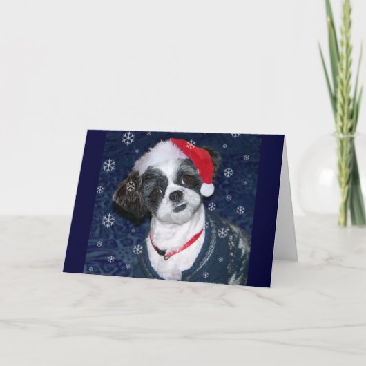 De Hond van Shih Tzu van Kerstmis Feestdagen Kaart (Voorkant)