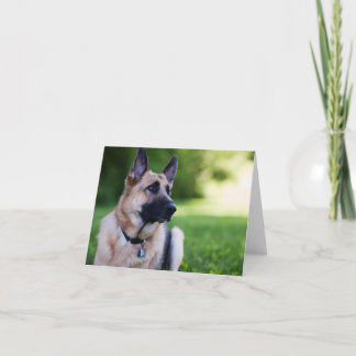 De Hond "Verbinding " van de redding Kaart