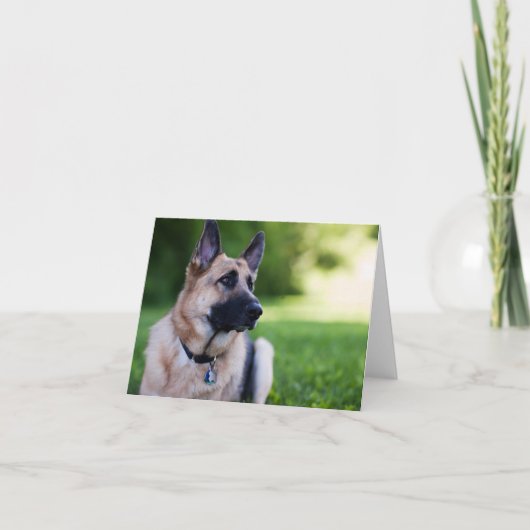 De Hond "Verbinding " van de redding Kaart (Voorkant)