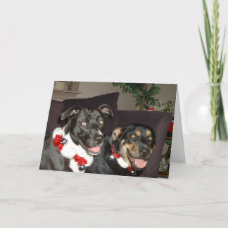 De Honden van het kenwijsje Feestdagen Kaart
