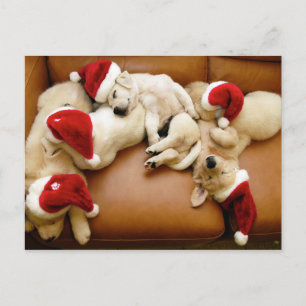 De hondendagen van Kerstmis Feestdagenkaart