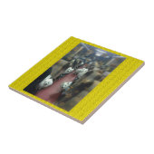 De hondentrein tegeltje (Zijkant)