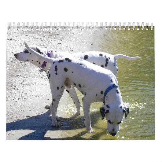 De HondHout Kalender 2007 (Hoes)