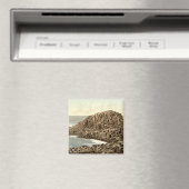 De Honeycombs, Giant's Causeway, County Antrim Magneet (Insitu (Vaatwasser))