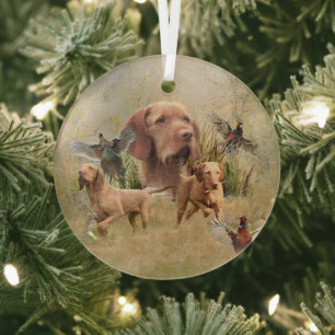 De Hongaarse Draadharige Vizsla Glas Ornament