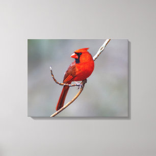 De hoofd Druk van het Canvas Afdruk