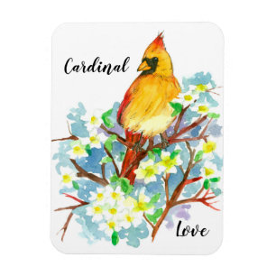 De hoofd Vogel van de Staat van de Liefde van Magneet