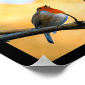 De Hoop Pro Poster (Hoek)