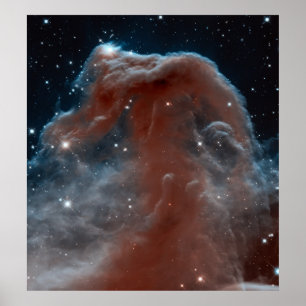 De Horsehead Nebula Poster