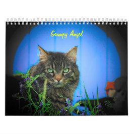 De houding van de Grumpy Angel 16 maanden Kalender